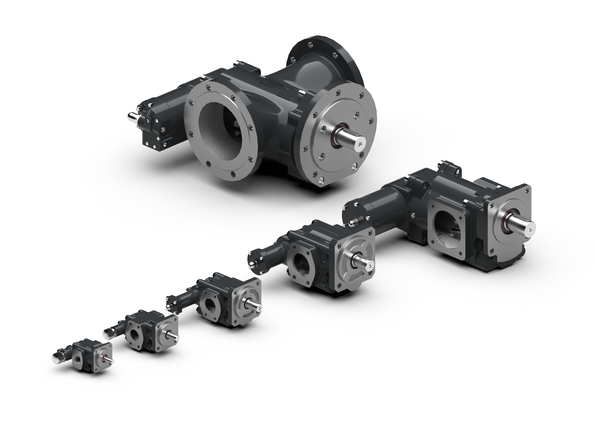 Gear pumps of series R25 to R105